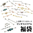 【選べるピアス福袋】インダストリアル福袋 14G 5点セット 2025 ストレートバーベル ヘリックス ボディピアス サージカルステンレス メンズ レディース ...