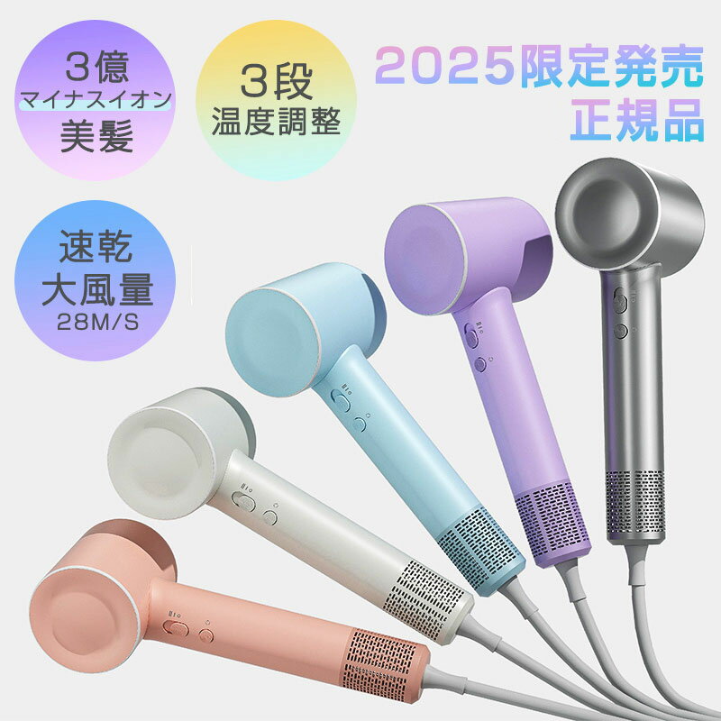 ドライヤー 大風量 速乾 高級 軽量 静音 1500W 2段階風速 高機能 静電気除去 低騒音 小型 過熱保護 おしゃれ 髪に優しい 美髪 マイナスイオン メン...