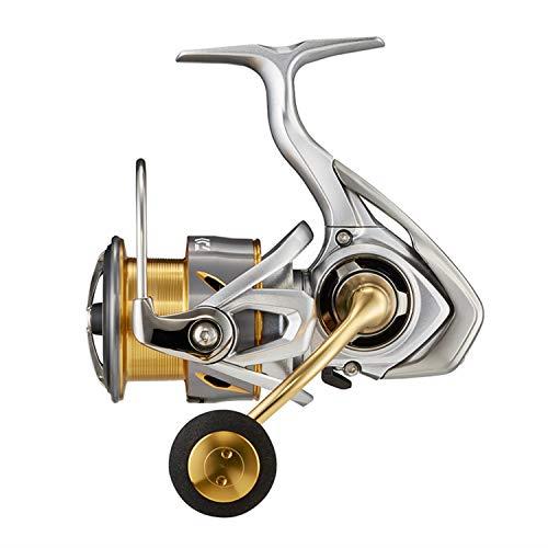 ダイワ(DAIWA) スピニング 21 フリームス LT4000-CXH