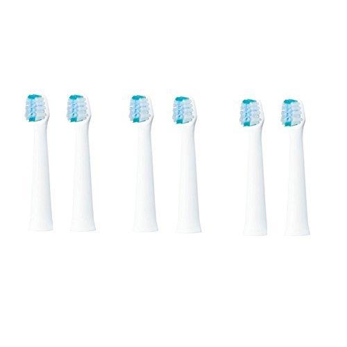 パナソニック スリム用マルチフィットブラシ EW0973-W(白) 2本入り x3セット(計6本) パナソニック スリム用マルチフィットブラシ EW0973-W(白) 2本入り x3セット(計6本)