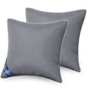 Belinna クッション中身 50x50cm*2(他のサイズもある)厚い 潰れない 二個セット cushion 背もたれ ソファークッション ヌードクッション 丸洗い可能 抱き枕(3)