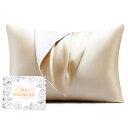 HOdo Home シルク枕カバー 22匁 6Aクラスシルク100% まくらかばー 片面シルク ピローケース 封筒式 洗える 美肌美髪 寝癖軽減 抗菌防臭 静電...