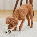 ペティオ (Petio) 犬用おもちゃ サイレントドッグラテックス サッカーボール