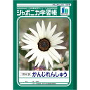 ショウワノート 学習帳 ジャポニカ 漢字練習 104字 B5 5冊パック JL-50-1*5