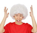 カツランド アフロ ホワイト かつら