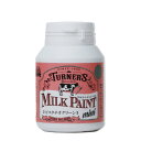 ターナー色彩(Turner Color) ミルクペイント ミニ ピスタチオグリーン 70ml MK070040