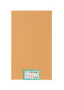 大王製紙 画用紙 再生色画用紙 四ツ切サイズ 100枚入 うすちゃ(薄茶)