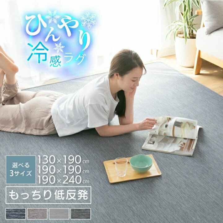ラグ 冷感ラグ 低反発 1.5畳 2畳 3畳 130×190 190×190 190×240 ひんやり 接触冷感 ラグマット 夏用 滑り止め付 マット 洗える ラグカーペット 夏 カーペット 防音 抗菌防臭 長方形 正方形 裏 メッシュ 絨毯 22s009のサムネイル
