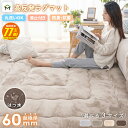 【スーパーSALE★77%OFF 9/4 20:00〜】高反発 ラグ 厚手 厚さ60mm フランネル 防音 滑り止め付 マイクロファイバー ホットカーペット対応 ラグ ラグマット 正方形 マット カーペット 絨毯 北欧 極厚 高反発 床暖房 送料無料