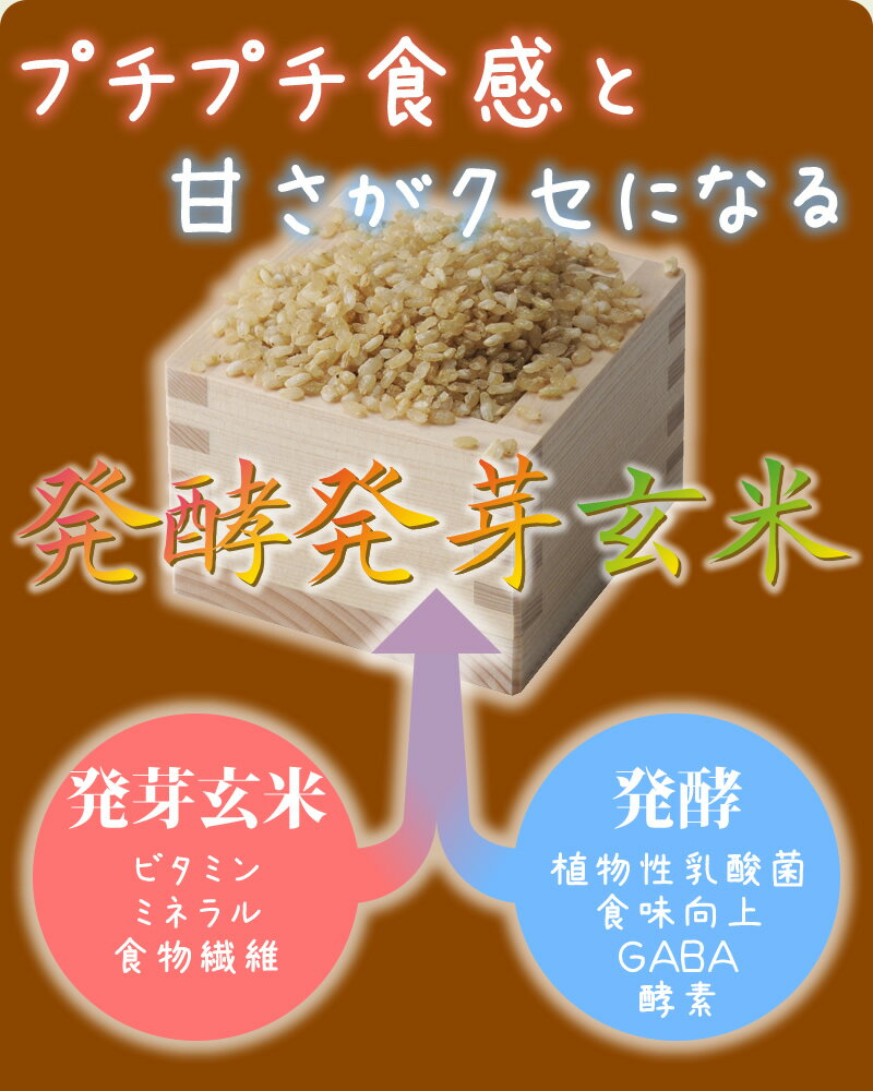 ディエイアイコーポレーション『発酵発芽玄米』