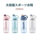 お買い物マラソン【P5倍】大容量スポーツ水筒 ポータブルウォーターボトル アウトドア スポーツカップ スポーツ水筒 ストロー付きで大容量 2500ml大容量水筒...