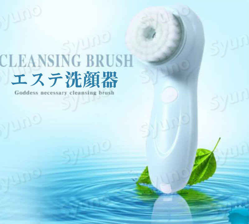 【3個セット】 サロンプラス リップスティックシェーバー ホルダー 刃付き(1本)×3個セット【正規品】【mor】【k】【ご注文後発送までに2週間前後頂戴する場合がございます】