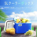 お買い物マラソン【P5倍】5Lクーラーボックス 温度表示 クーラーボックス ポータブルなクーラーボックス 冷蔵箱 アウトドア用クーラーボックス クーラーバスケット 冷蔵ボックス 密閉性も優秀 食材を冷やす 自宅用 旅行中 車載用 食材を新鮮に保つ アイスバケット
