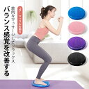 お買い物マラソン【P5倍】バランスディスク バランスクッション 空気入れ 体幹 トレーニング ダイエット 姿勢矯正 体幹 エクササイズ 引き締め クッション バランス 骨盤 バランスディスク バランスクッション 体幹 器具 トレーニング 引き締め 耐荷重360kg(4)