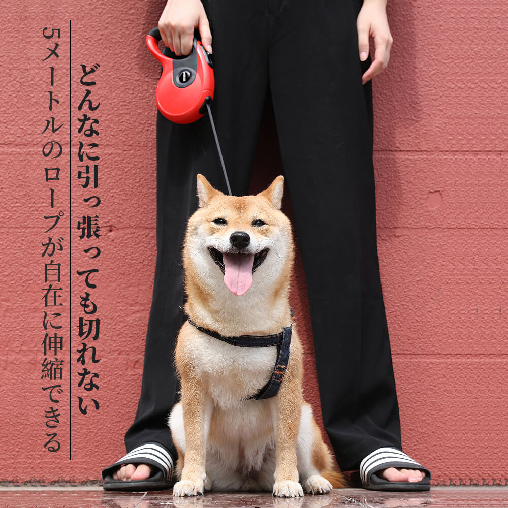 Collars, Harnesses, Leashes - お買い物マラソン【P5倍】5メートルのロープが自在に伸縮できる 犬 リード ハーネス 伸縮リード 巻き取り式 ドッグ リード 軽量 高強度 リード 散歩 お散歩グッズ ペット用品 自動巻き 強度と耐久性に優れている ワンタッチでロックできる