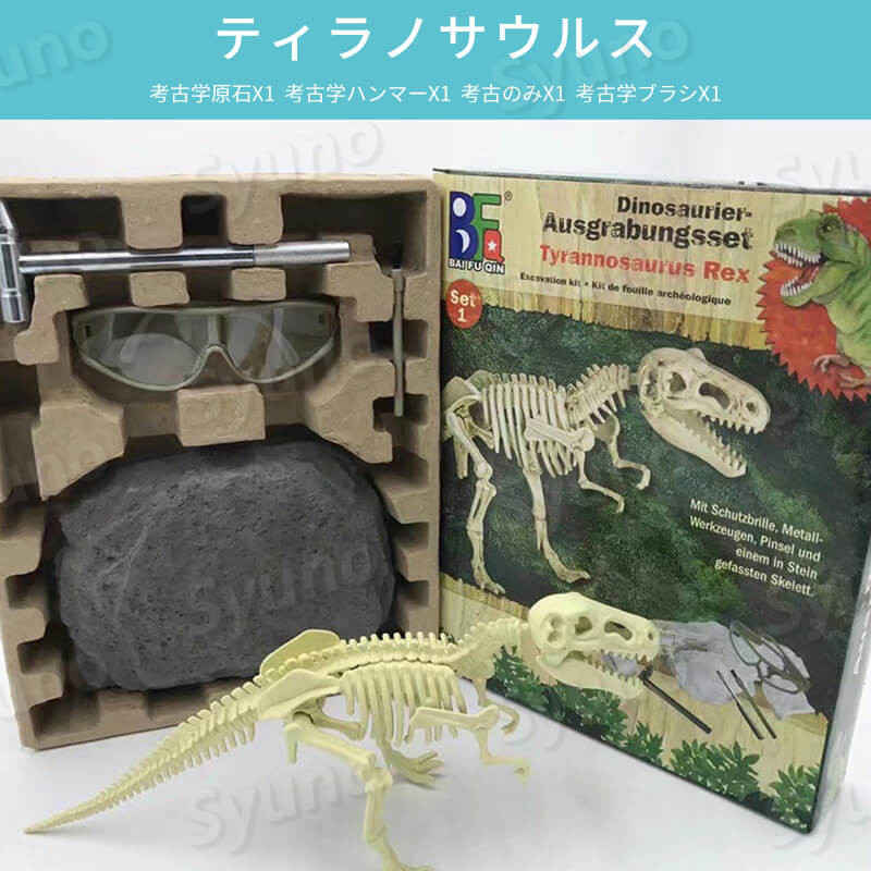 お買い物マラソン【P5倍】子供 恐竜の化石 考古学的発掘 科学教育玩具 手作りで骨...