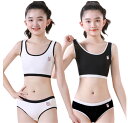 ブラジャー ショーツ 2点セット 上下セット キッズ 子供 無地 リブ ジュニア 下着セット パッド付き ブラジャー カップ付き 大人 女の子 パンツ 肌着 インナー アンダーウェア ジュニアブラ スポーツブラ 中学生 小学生 下着 ガールズ 可愛い 綿 コットン