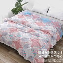 夏ふとん 肌掛布団 掛ふとん 夏 シングル 150×200cm 洗える おしゃれ 夏掛け ガーゼケット 雛菊柄 かわいい ナチュラル 通気性 吸水性 やわらか肌触り 肌掛け布団 綿 タオルケット 肌布団 夏布団 薄手 オールシーズン おしゃれ 子供 保育園 冷房対策 車中泊 春夏秋