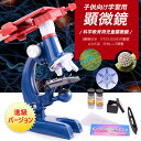 お買い物マラソン【P5倍】お子様、お孫さんのプレゼントに最適!学習用 1200x 顕微鏡 ィスプレイ 実験 知育 理科 生物顕微鏡と反射顕微鏡 子供の頃から科学...