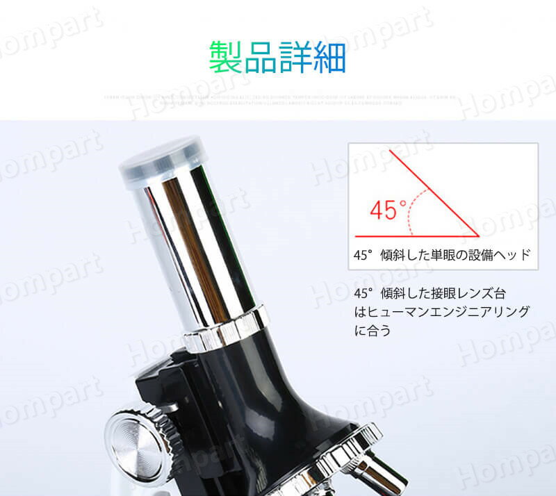 ���㤤ʪ�ޥ饽���5�ܡۤ����͡���¹����Υץ쥼��Ȥ˺�Ŭ���ؽ��� 1200x ������ �¸� �ΰ� ���� ��ʪ��������ȿ�͸����� �Ҷ��κ�����ʳؤؤζ�̣���Ƥ� �ޥ������������� �Ҷ��� ������ ����� �⹻�� �鿴�� ��ͳ���� ���ꥹ�ޥ� �ʳؽˤ� ���ؽˤ� �͵� ��������