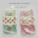 3枚セット パンツ 女の子 男の子 キッズ ベビー 子供用 可愛い 下着 インナー 綿 トランクス ブリーフ パンツ ボクサー?パンツ 入園 入学 四季通用 選...