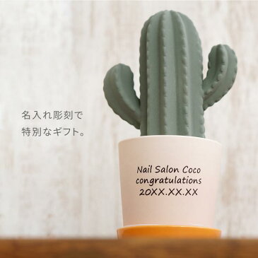 加湿器 卓上 おしゃれ 開店祝い 名入れ インテリア ギフト 贈り物 名前入り 【 陶器 エコ 加湿器 卓上 サボテン 】 デスク 気化式 エコ テレワーク かわいい カフェ サロン 美容室 開店 開業 飲食 周年 祝い 記念品 誕生日 女性 女友達 友人 母の日 オシャレ