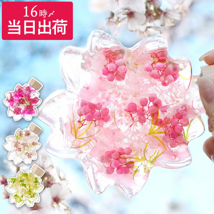 Ŵ ˤ ץ쥼 ˤ     Υ ϡХꥦ  ץ쥼  60   ե ...