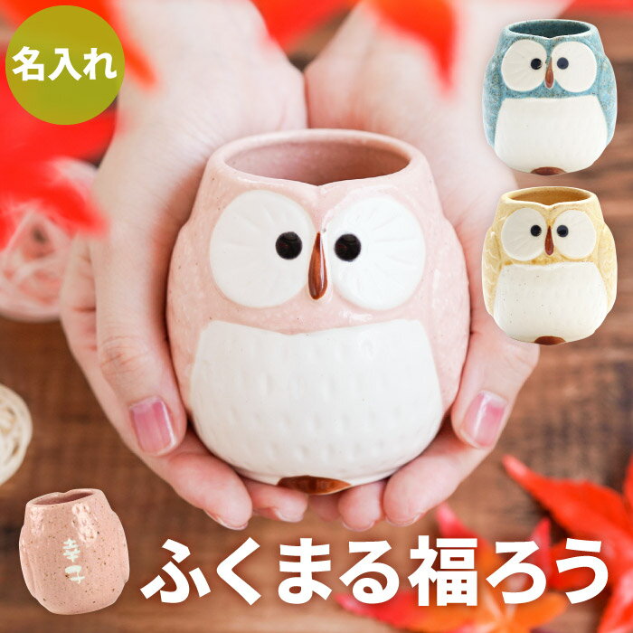 誕生日プレゼント ギフト 還暦祝い プレゼント 湯のみ 名入れ 湯呑 贈り物 名前入り 【 パステル ふくろう 湯呑み 】 美濃焼 かわいい 陶器 和食器 湯飲み おばあちゃん 祖母 祖父 70代 還暦 米寿 喜寿 古希 傘寿 長寿 祝い 梟 グッズ 父の日 実用的のサムネイル