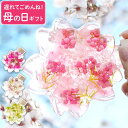 母の日 プレゼント 還暦祝い 母 おしゃれ 『 サクラ ノカタチ ハーバリウム 』 誕生日プレゼント 母親 60代 女性 花 ギフト 退職祝い 桜 誕生日 義母...
