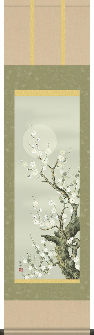 乐天商城 - 掛け軸-朧月白梅／小野洋舟（尺三 化粧箱 緞子）花鳥画掛軸 モダンに掛物を吊るす