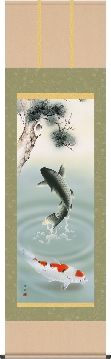 端午の節句画掛軸-松下遊鯉/長江桂舟(尺五)床の間 和室 高級 掛け軸 人気 お祝い 祭り モダン オシャレ 吊るす 鯉の絵[送料無料]