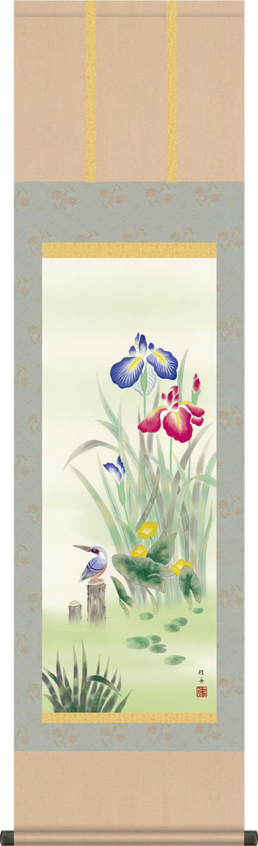 夏掛 掛け軸-菖蒲/長江桂舟(尺三)床の間 和室 モダン オシャレ インテリア ギフト マンション 壁掛け 小さい 日本画