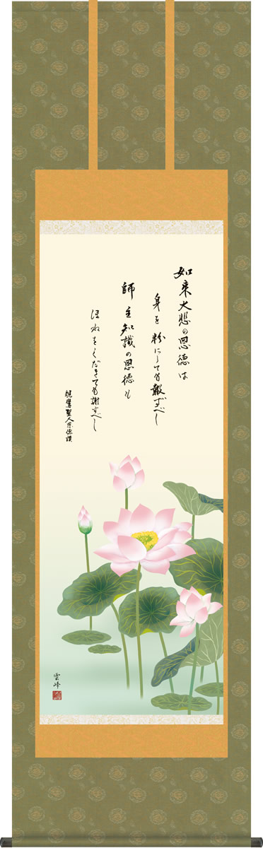 法要飾り 掛軸 恩徳讃蓮華 清水雲峰 尺五 仏間 床の間 泥中 レンゲ モダン 掛軸[送料無料] ギフト 贈答[幅54.5cm×高さ190cm]