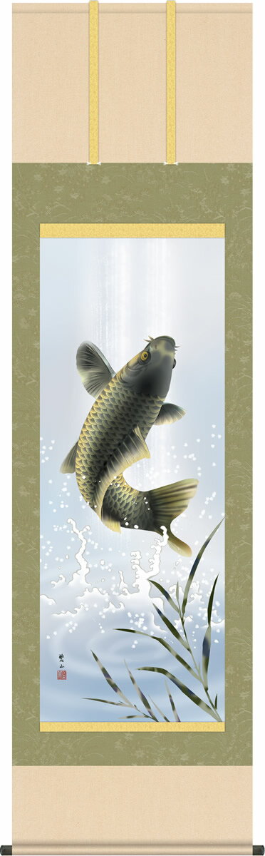 行事飾り 掛け軸 跳鯉 唐沢碧山 尺五 端午の節句 男児 男の子 床の間 モダン お祝い 掛軸[送料無料] ギフト 贈答[幅54.5cm×高さ190cm]