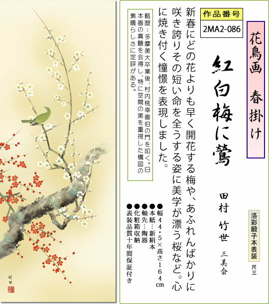 春掛け 掛け軸 紅白梅に鶯 田村竹世 尺三 小振り 本表装 床の間 花鳥画 モダン 掛軸[送料無料] ギフト 贈り物[幅44.5cm×高さ164cm] 2