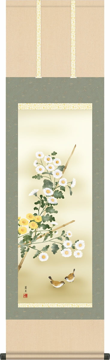 秋掛け 掛け軸 菊花 吉井蘭月 尺三 小振り 本表装 床の間 花鳥画 モダン 掛軸[送料無料] ギフト 贈り物[幅44.5cm×高さ164cm]