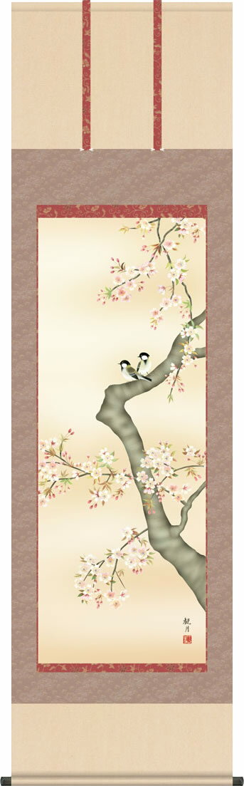 掛軸 掛け軸 桜花に小鳥/森山観月(尺五)表装 床の間 おしゃれ モダン おうかにことり ギフト 贈答[幅54.5cm×高さ190cm]