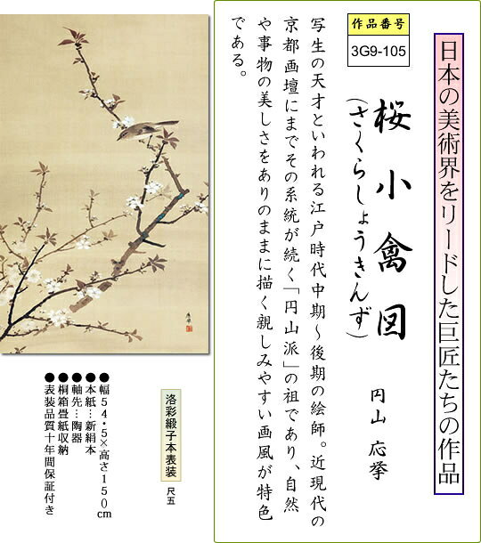 掛け軸-桜小禽図／円山 応挙(尺五立) 床の間 和室 お洒落 モダン さくらしょうきん...