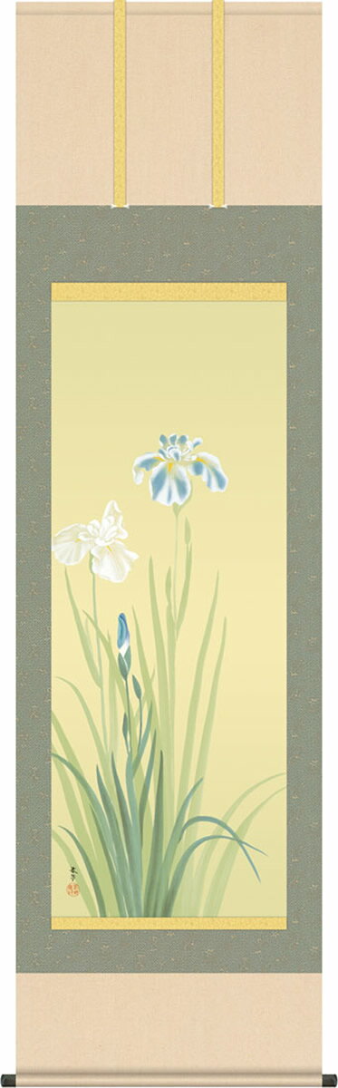 掛け軸-花あやめ 菱田 春草(尺五) 床の間 和室 お洒落 モダン はなあやめ[幅54.5cm×高さ190cm]