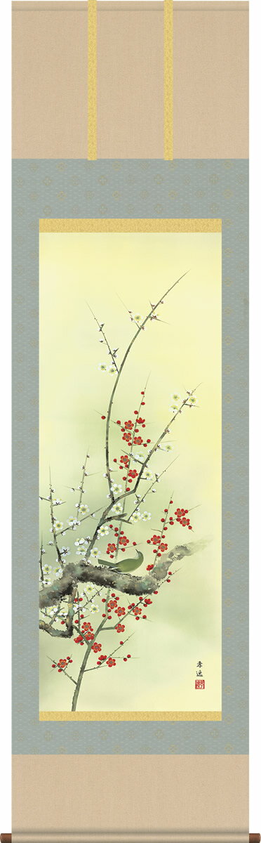 掛け軸-紅白梅に鶯／根本孝逸（尺五 桐箱 緞子）花鳥画掛軸 [送料無料]
