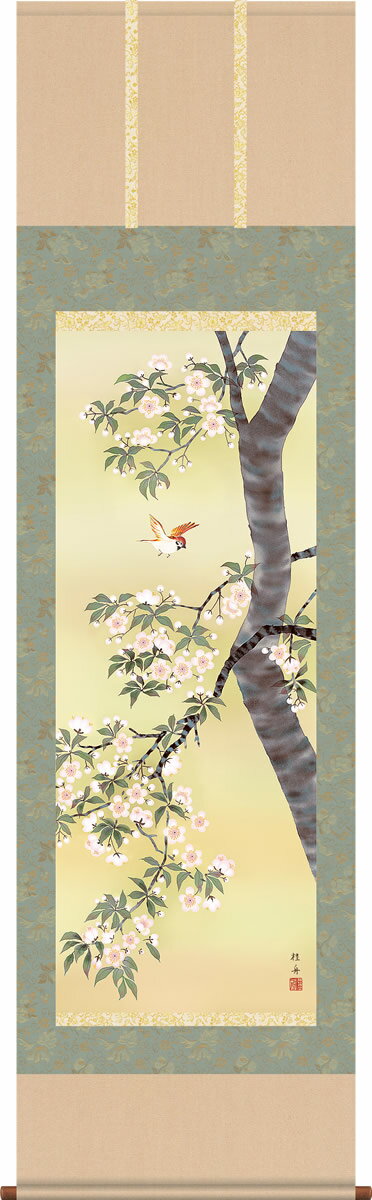 乐天商城 - 掛け軸-桜花／長江桂舟（尺五 桐箱）花鳥画掛軸 [送料無料]
