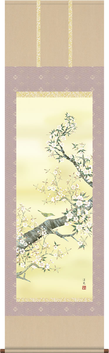 Rakuten - 掛け軸-桜花／井川洋光（尺五 桐箱 緞子）花鳥画掛軸 [送料無料]
