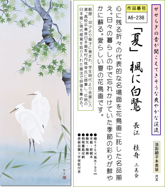 掛け軸-「夏」楓に白鷺／長江桂舟（尺五 桐箱 緞子）花鳥画掛軸 [送料無料]