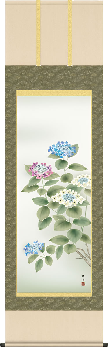 乐天商城 - 掛け軸 紫陽花 長江桂舟 尺五 本表装 花鳥画 床の間 モダン 和室 あじさい 夏