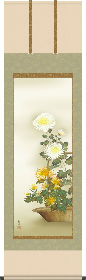 Rakuten - 掛け軸 菊花 森山観月(尺五) モダン オシャレ 正絹 床の間 三段表装 秋 季節 きっか [幅54.5・高さ約190センチ]