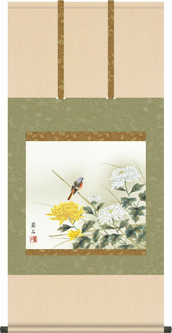 乐天商城 - 掛け軸 菊花に小鳥 高見蘭石(尺五横) 丈の短い花鳥画 三段大和表装 床の間 秋 きっか [幅54.5・高さ約115センチ]