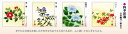 四季絵色紙4枚セット-四季彩遷(色紙掛け軸とともにどうぞ)