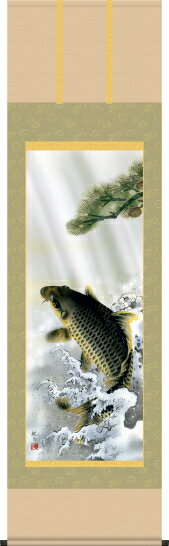 掛け軸-大昇鯉／森山 観月（尺五・床の間に端午の節句画掛軸勇壮な掛軸をどうぞ）[和室 床の間 初節句 端午 五月 こどもの日 男の子 モダン オシャレ 壁掛け 安い 贈物 ギフト 飾り]