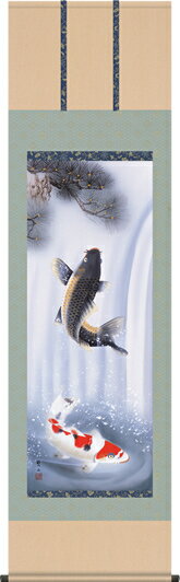 掛け軸-夫婦滝昇鯉／唐沢碧山（尺五・桐箱）床の間に男児の成長祈願で飾る端午の節句画掛軸、初節句のお祝い掛軸としてもどうぞ、送料無料、伝統の床の間飾り、男の子誕生祝、出産祝い