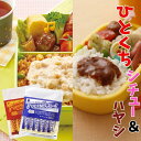カレー レトルト ひとくちシチュー & ハヤシ 2袋 各10本 計20本セット 食べきりサイズ お取り寄せ お試し グルメ ギフト 御中元 メール便 保存食 非...